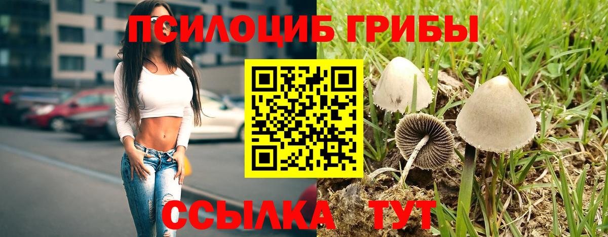 Крымск  Галлюциногенные грибы Psilocybe  Вход с VPN 
